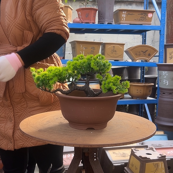 21茶林小碗花盆花盆
