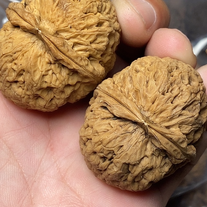 把件文玩核桃云南铁核桃36