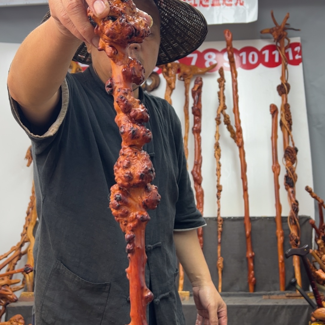 黑果木其他黑果木574