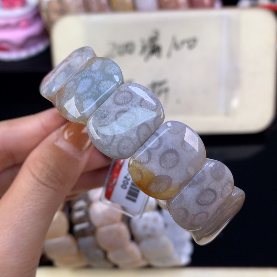 硅化珊瑚（珊瑚玉）未镶嵌吊坠(赠链)漏五折精美手牌（33号）
