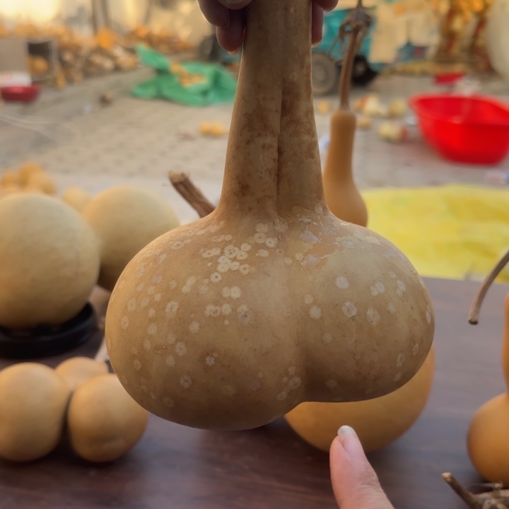 咕噜咕噜咕噜咕噜互留了