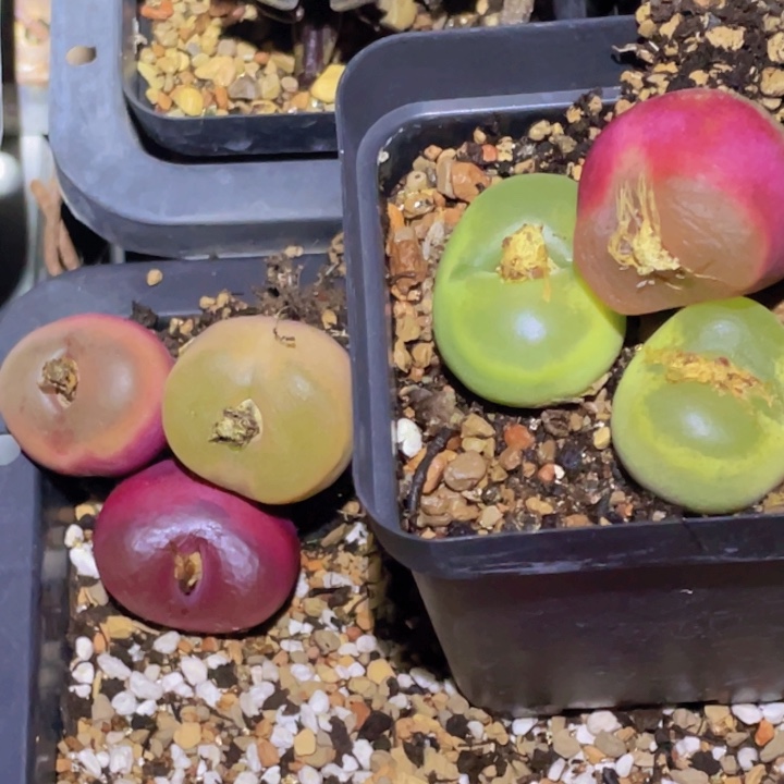 48889889888888888888888