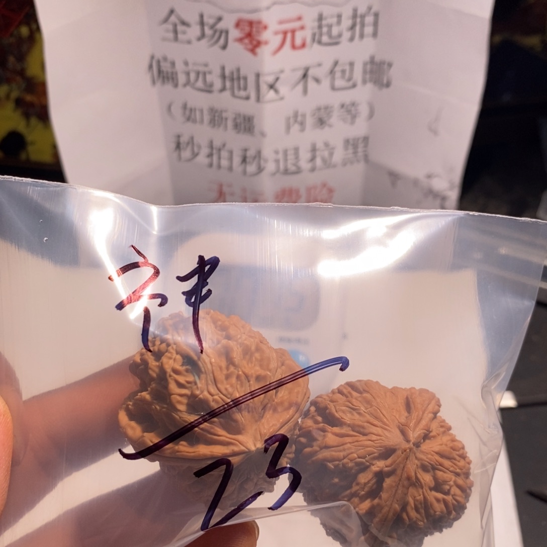 把件文玩核桃神白狮子