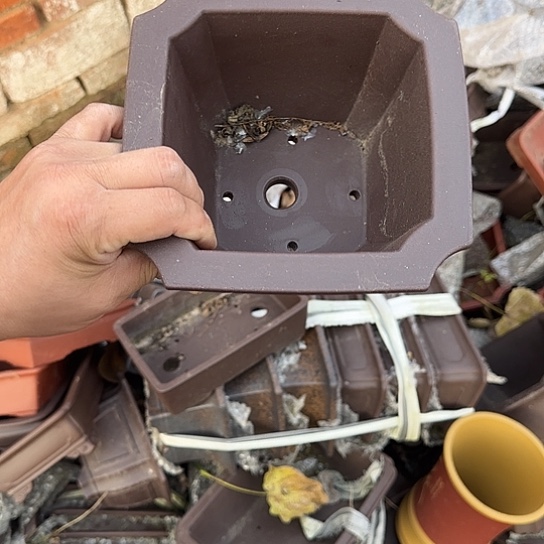 是的呀哈哈是这样哈哈好开心哦是