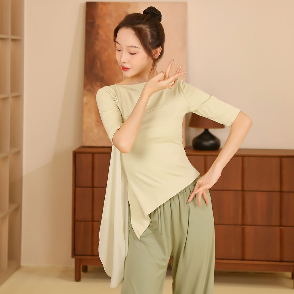24008现代练功女新款舞蹈服上衣中国舞古典舞成人飘纱身韵形体服