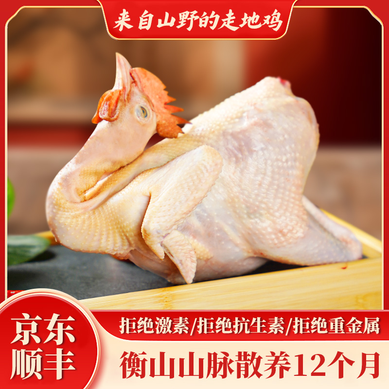 湖南农家散养新鲜湘黄鸡土鸡走地鸡老母鸡 五谷杂粮喂养 现抓现杀