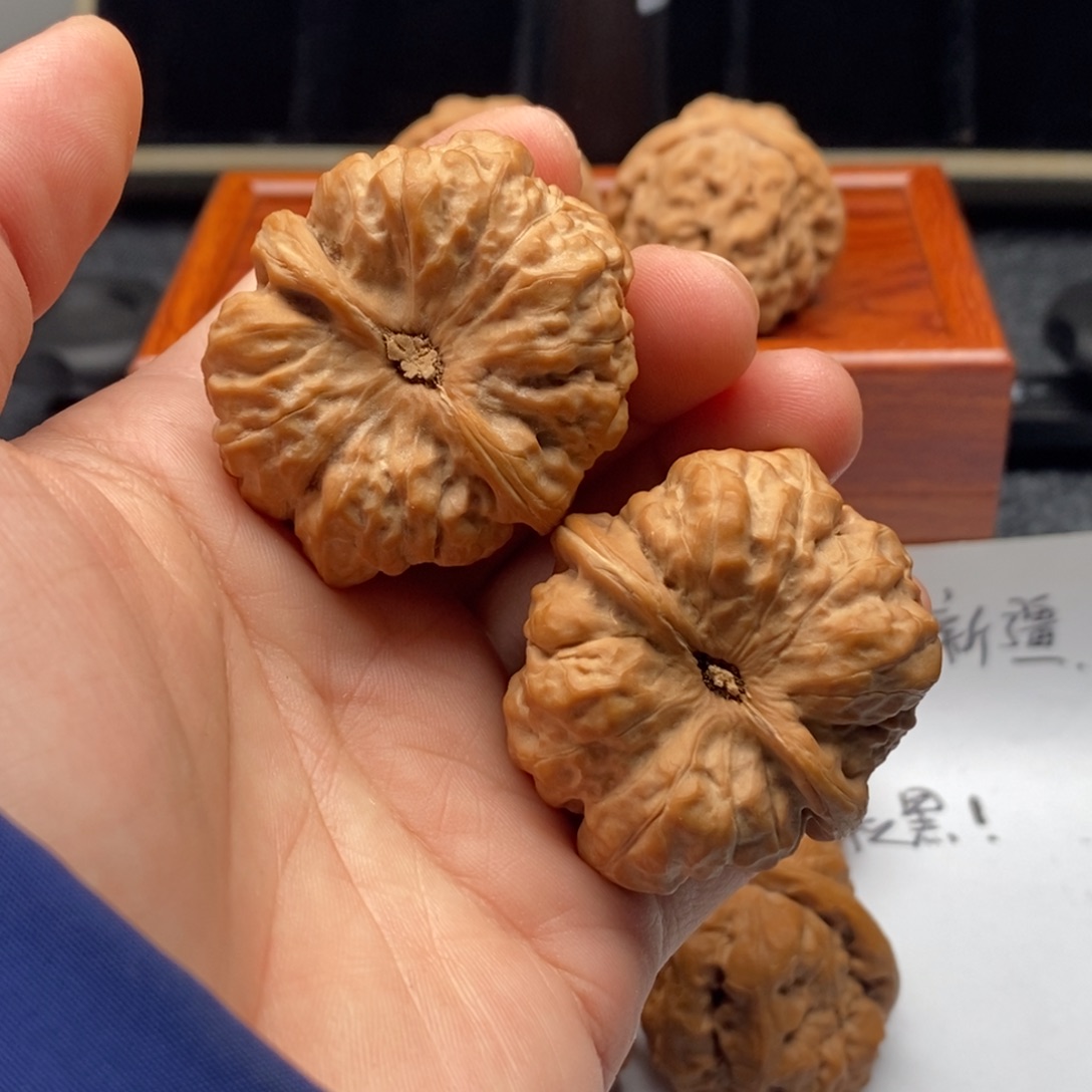 知***缘好的我真的是太喜欢了一个人的