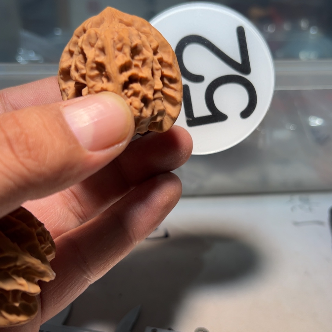 *****文玩核桃，白色52号