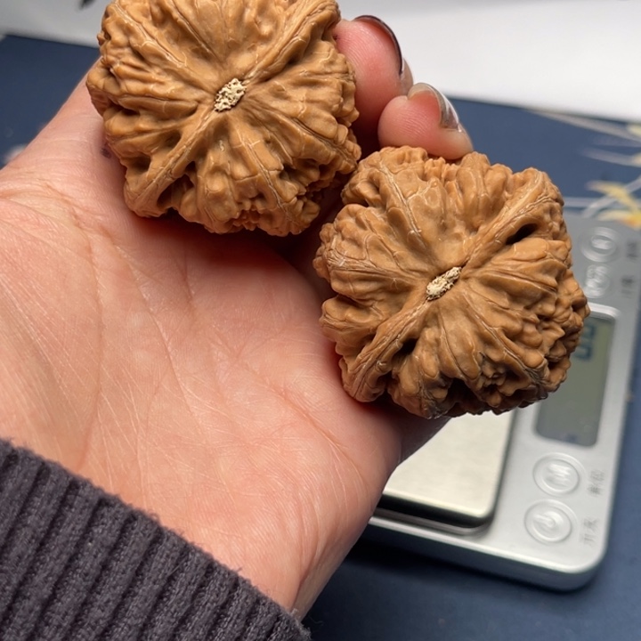 文玩核桃把件粗筋44