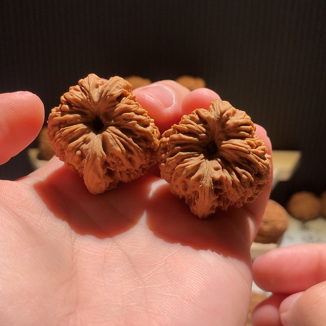 文玩核桃把件星***息南疆