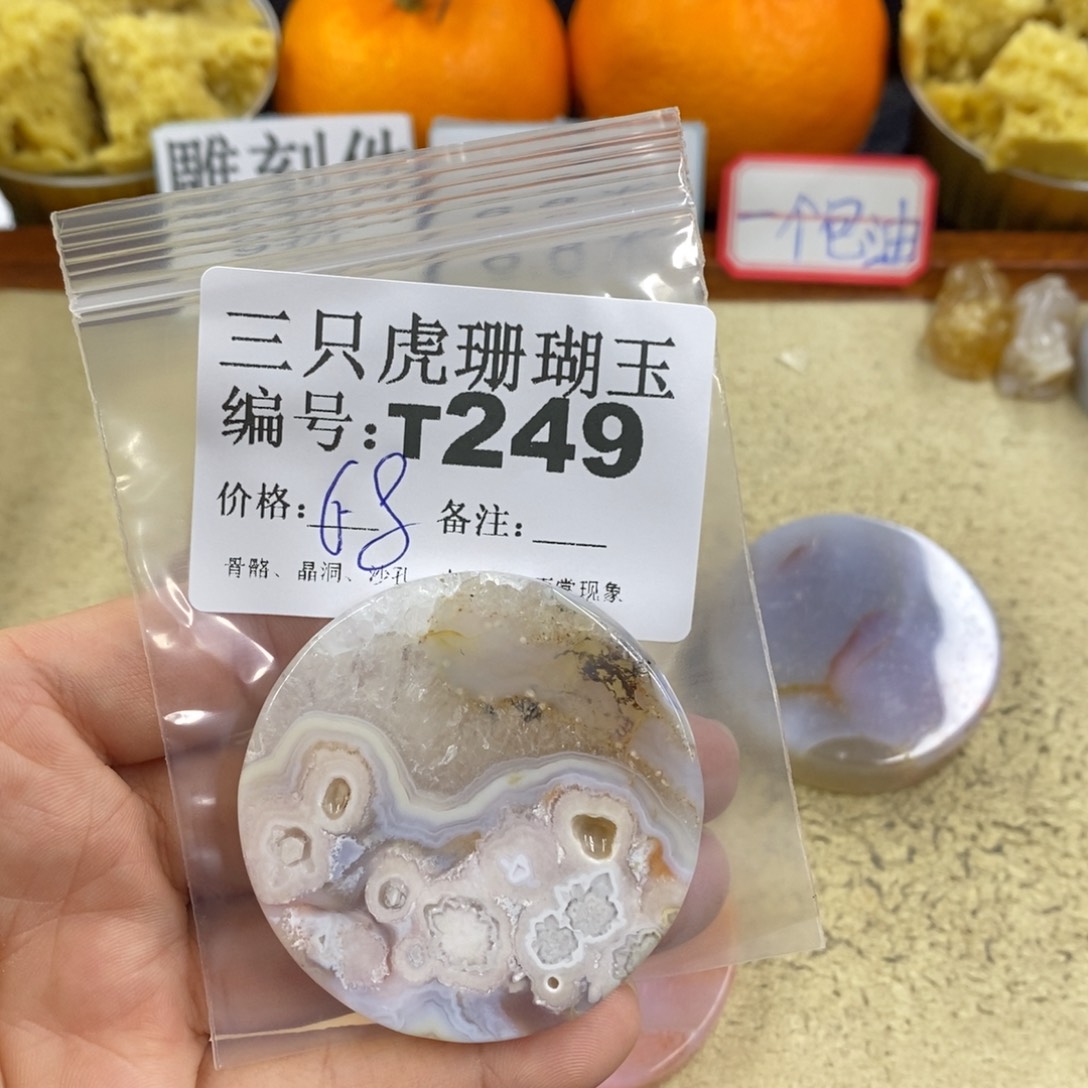 硅化珊瑚（珊瑚玉）1未镶嵌滢