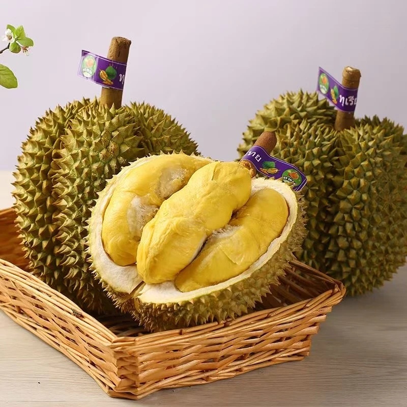 正宗泰国金枕榴莲现场开果鲜榴莲每斤核小金枕泰国<北二环专属>金枕泰国