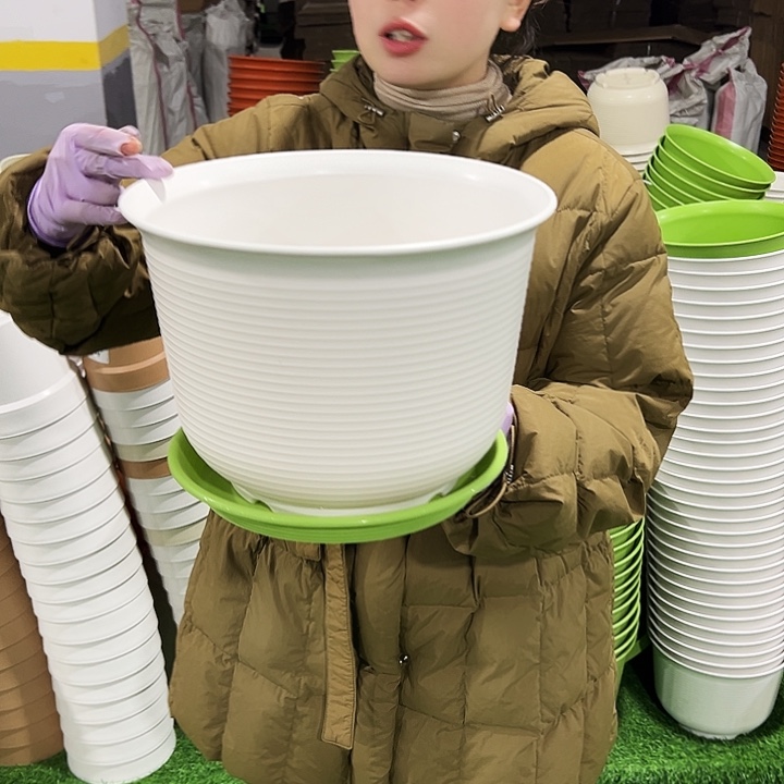 正品矮陶口30高22白色5只带托