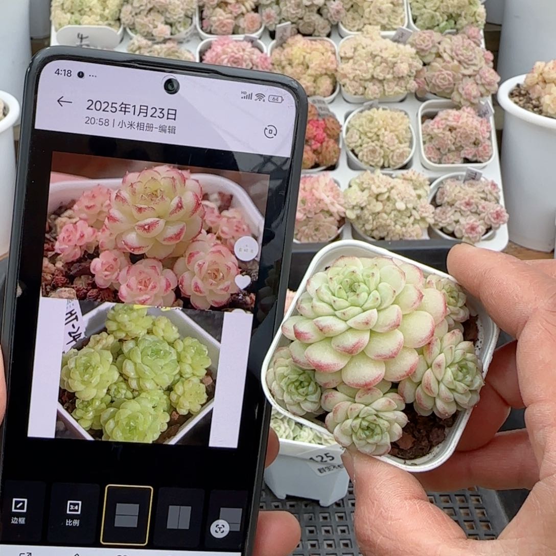 【闪购商品】0128-126（ht-24）