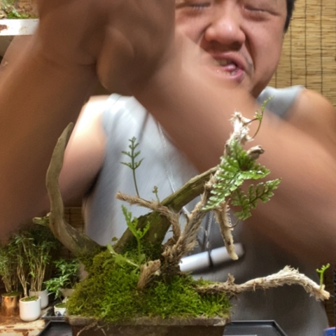 红陶一物一拍所见即所得143