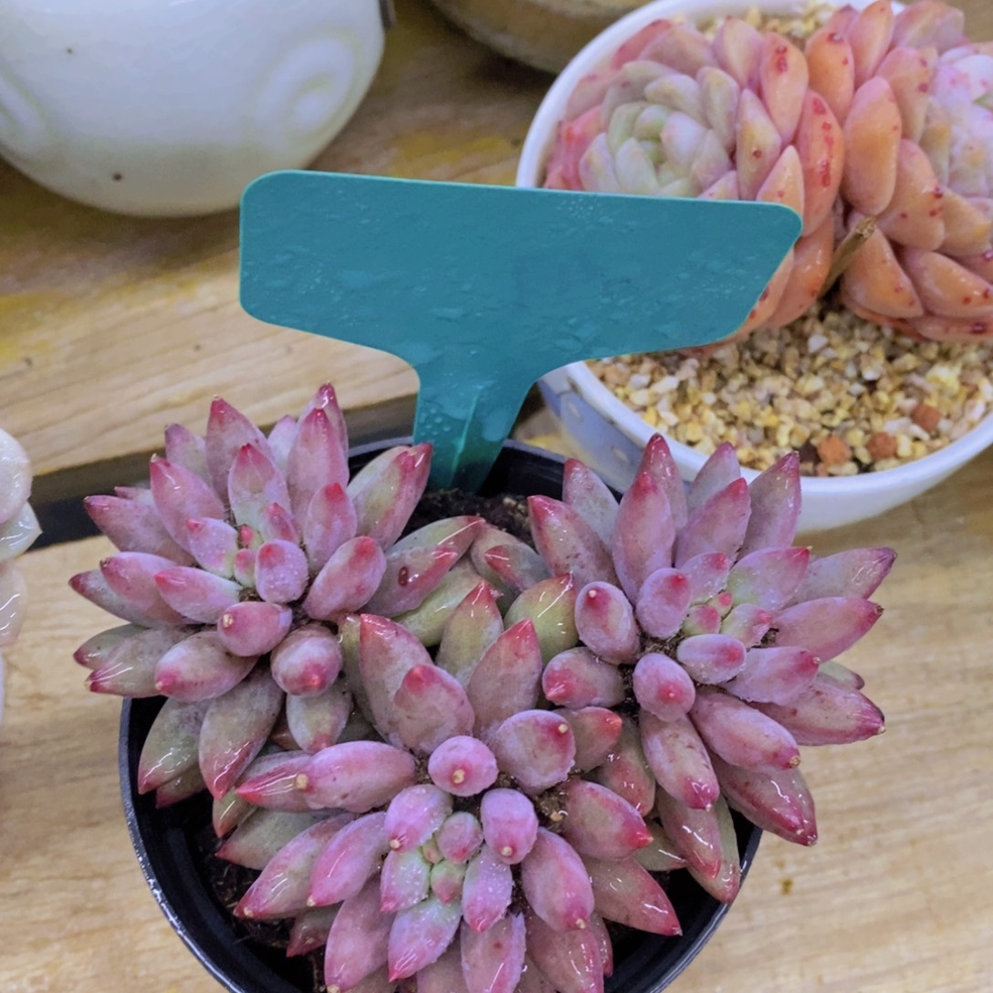 清货专场，满5宋1了