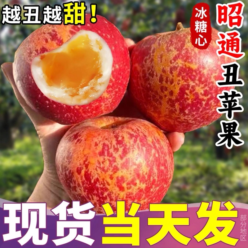 正宗云南昭通冰糖心丑苹果新鲜当季现摘脆甜多汁水果