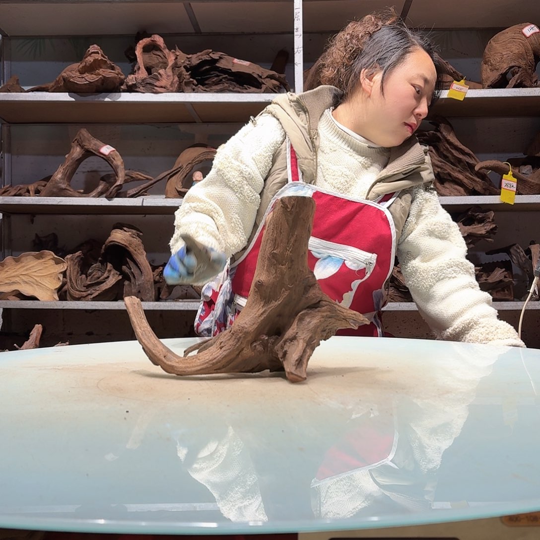 倍诸沉木不包损必褪色释*6670