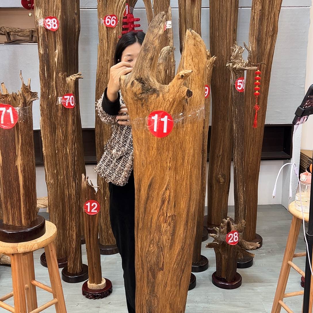 沉香摆件用****2沉香摆件