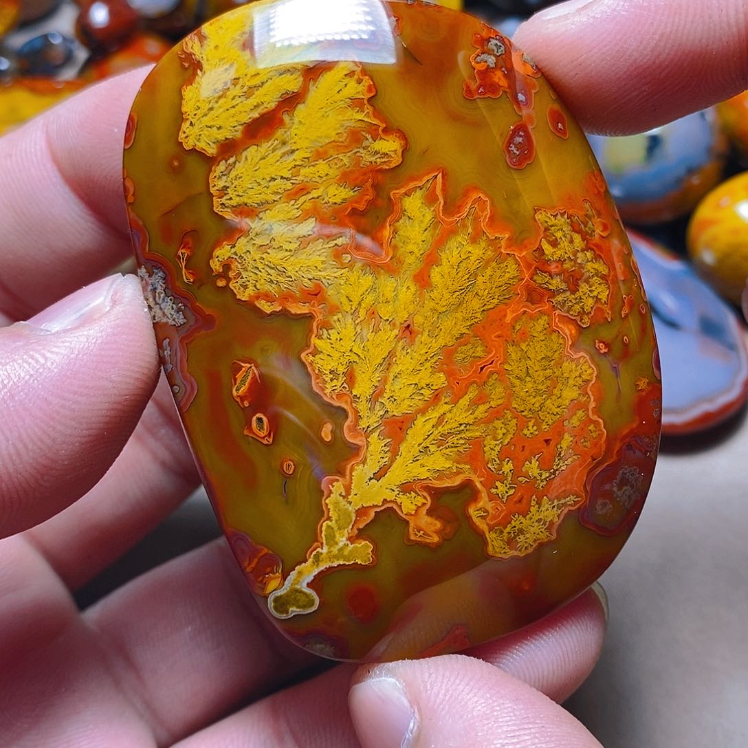 未镶嵌颈饰玛瑙/玉髓缘*