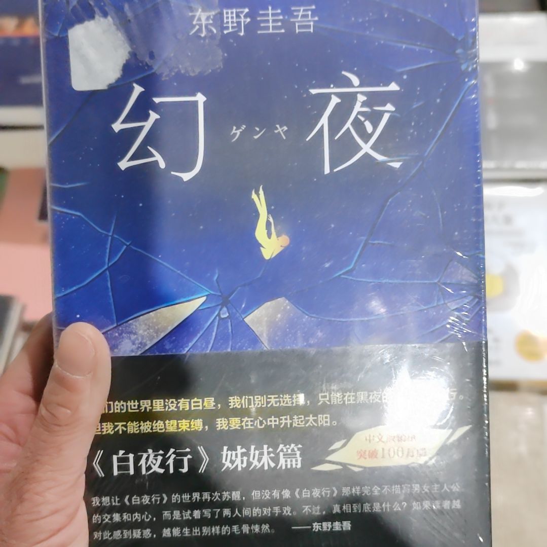 东野圭吾幻夜幻夜