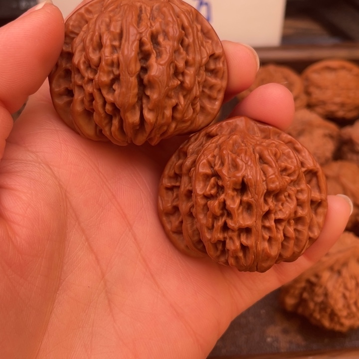 核桃四座楼狮子头狮子头