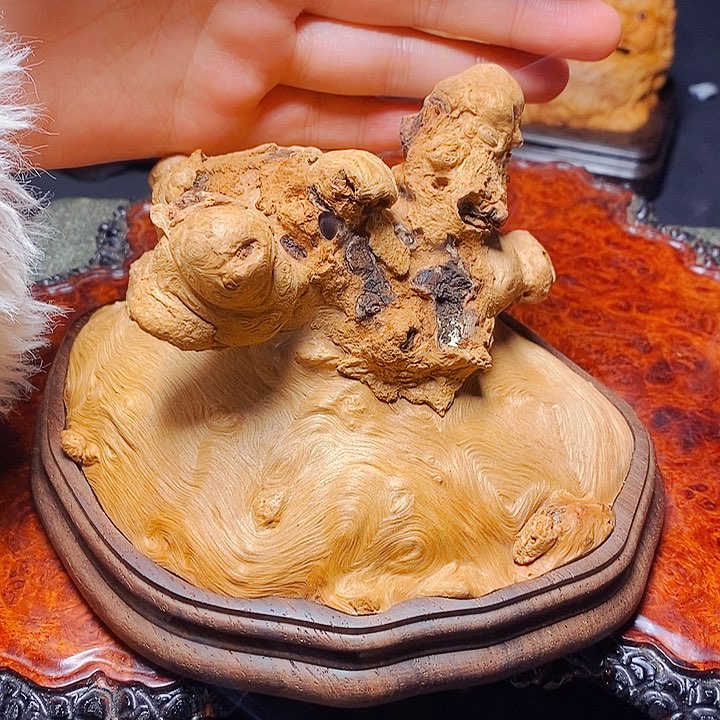 荔枝木荔枝木荔枝木