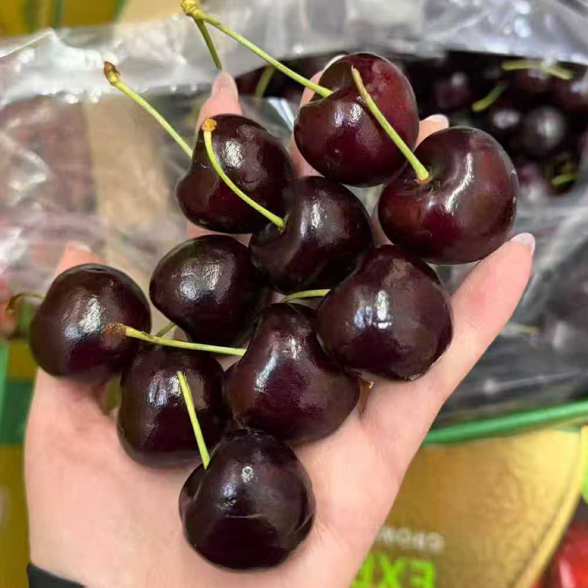 智利进口海运车厘子4JD 一箱5斤智利智利