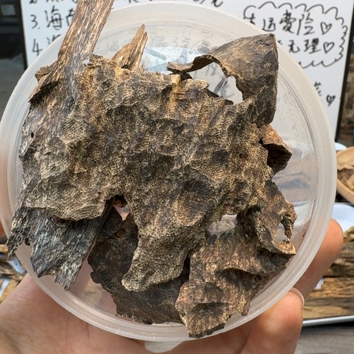 木***造越南芽庄生结香。10克。