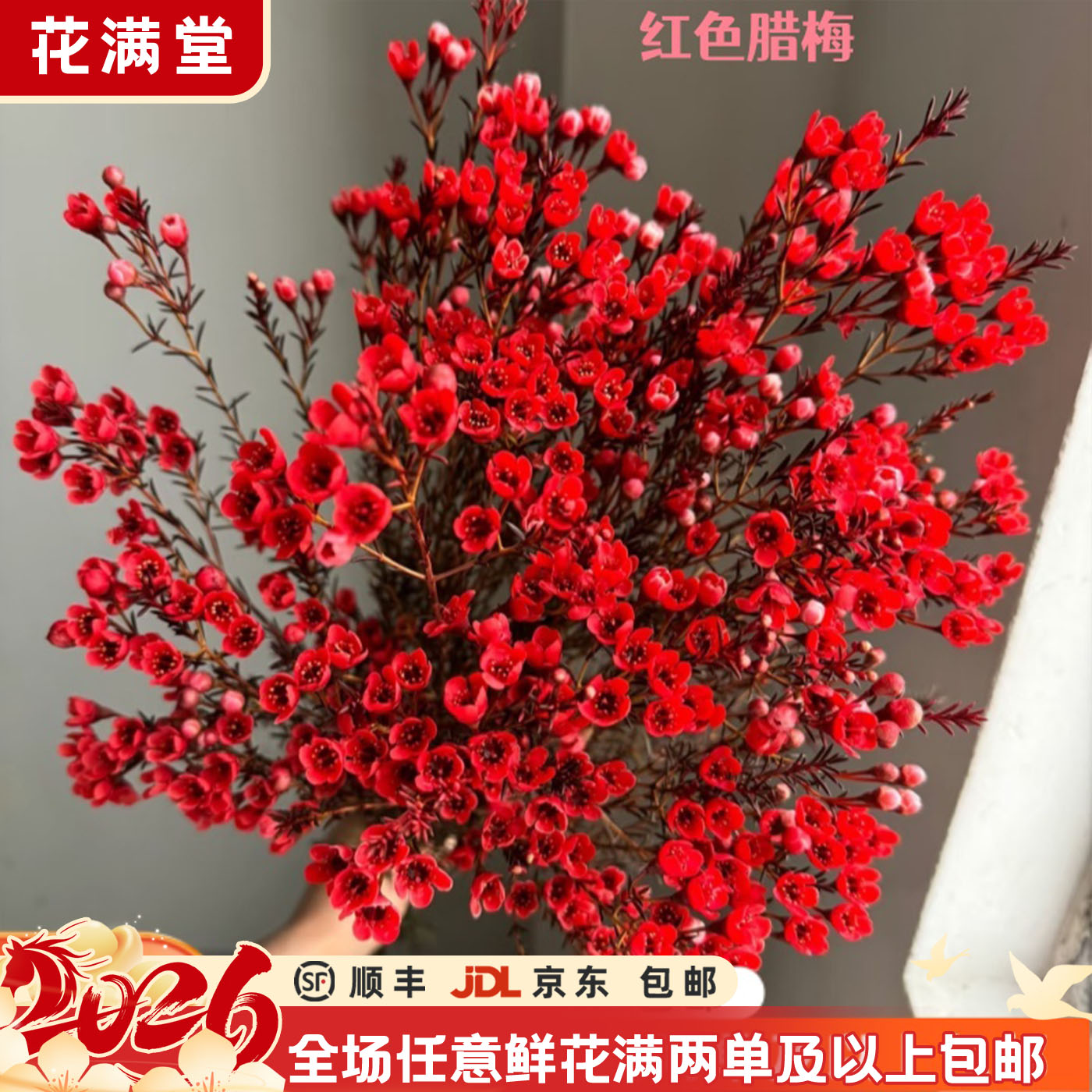 跨年限定【次日达·红腊梅】腊梅一把·吸色·云南基地鲜切花·全场两单顺丰包邮·直发·批发·生活鲜花DIY·次日达