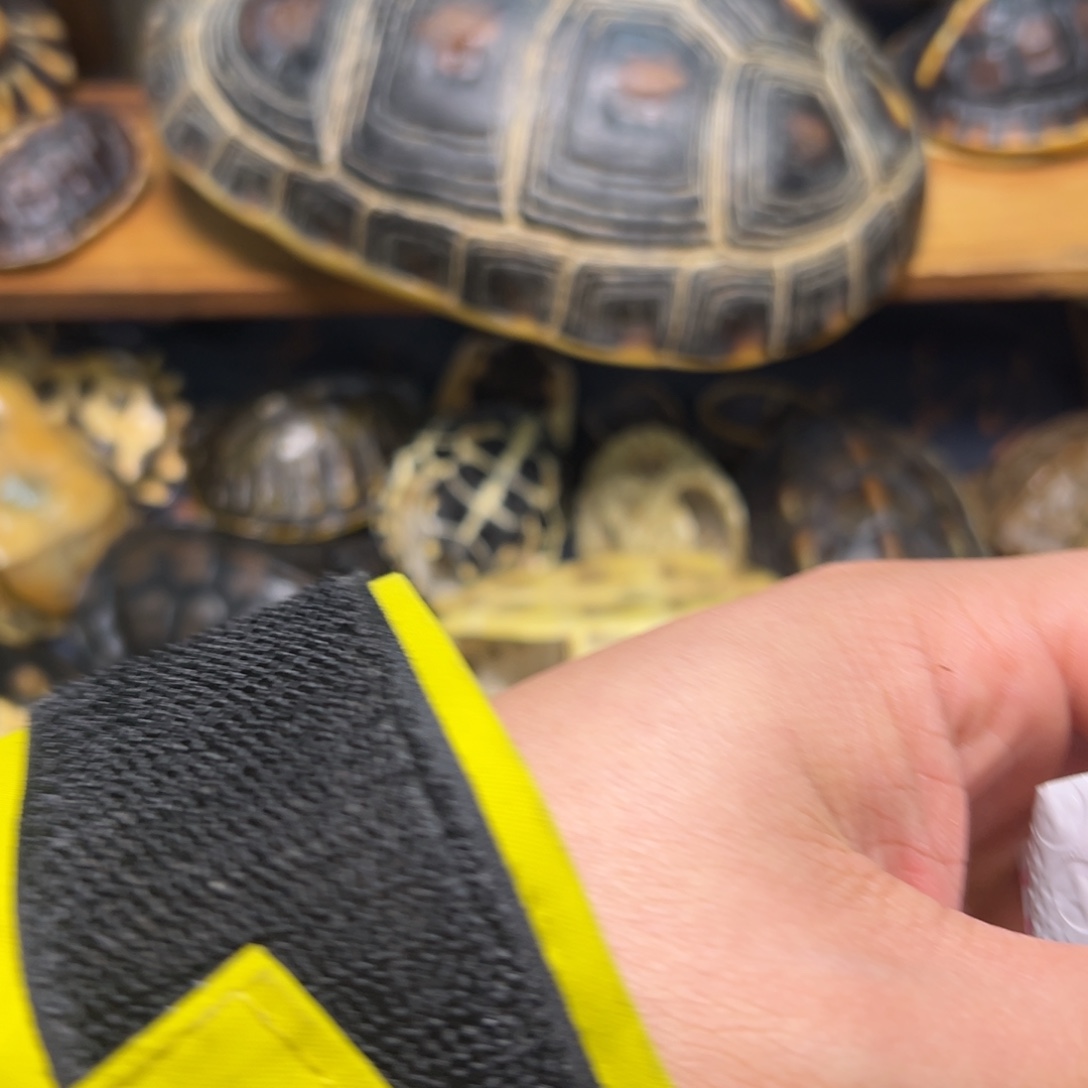 守***人呀呀呀呀呀呀呀呀