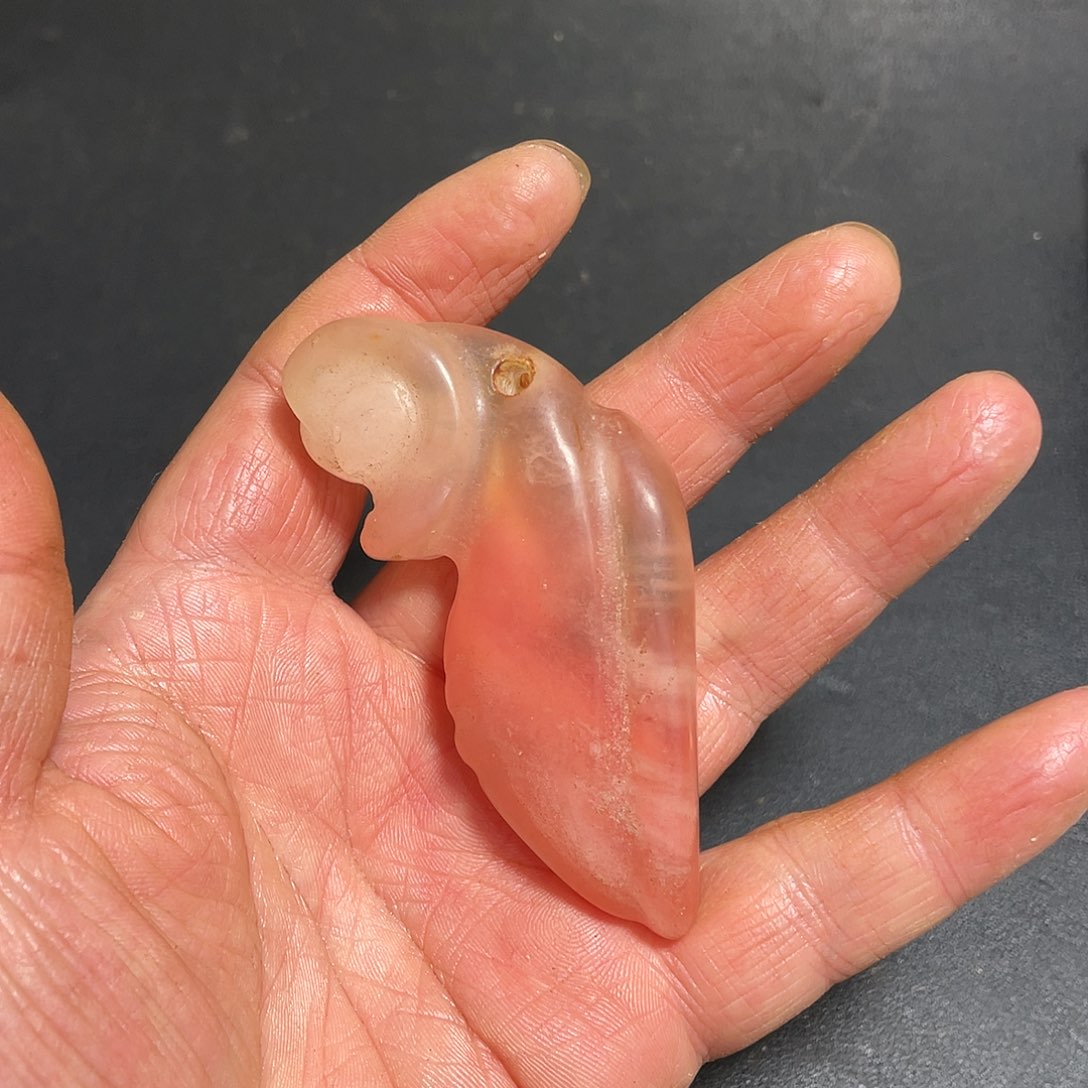 官方链接下单放心拍