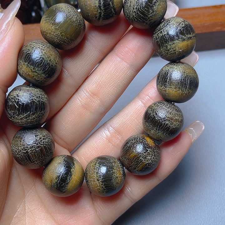 大果紫檀（缅甸花梨）