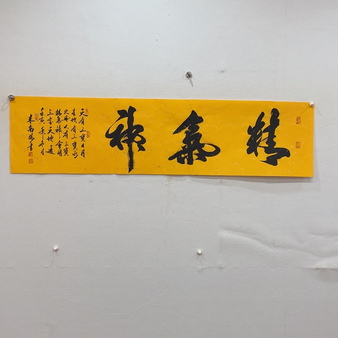 横款博航艺术书法作品集