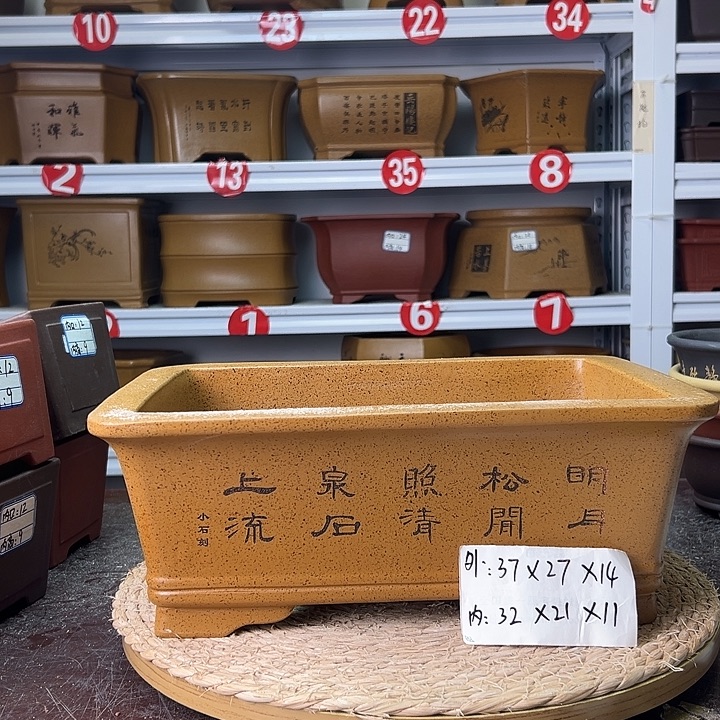 花盆紫砂蛇年大吉
