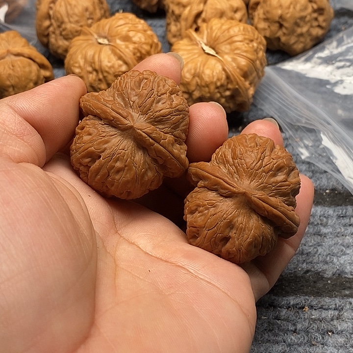 把件文玩核桃全品元宝41尺