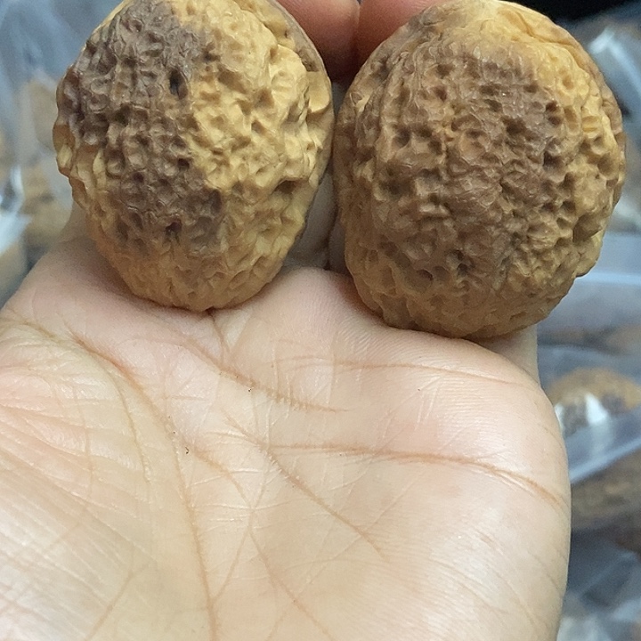 把件文玩核桃云南铁核桃基地36