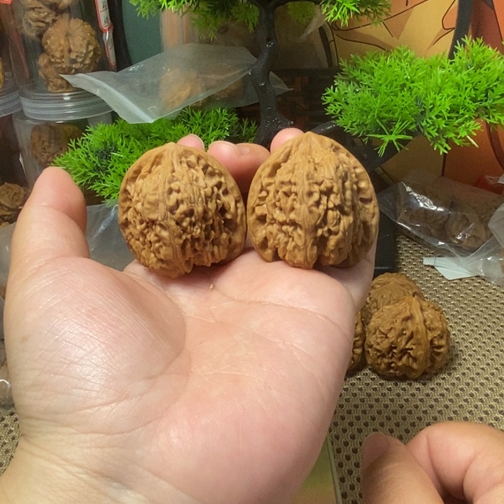 核桃手串/手链蛤蟆眼38全