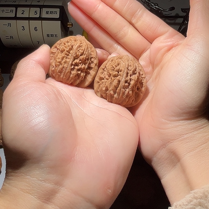 机***︾核桃娄子41全品文玩