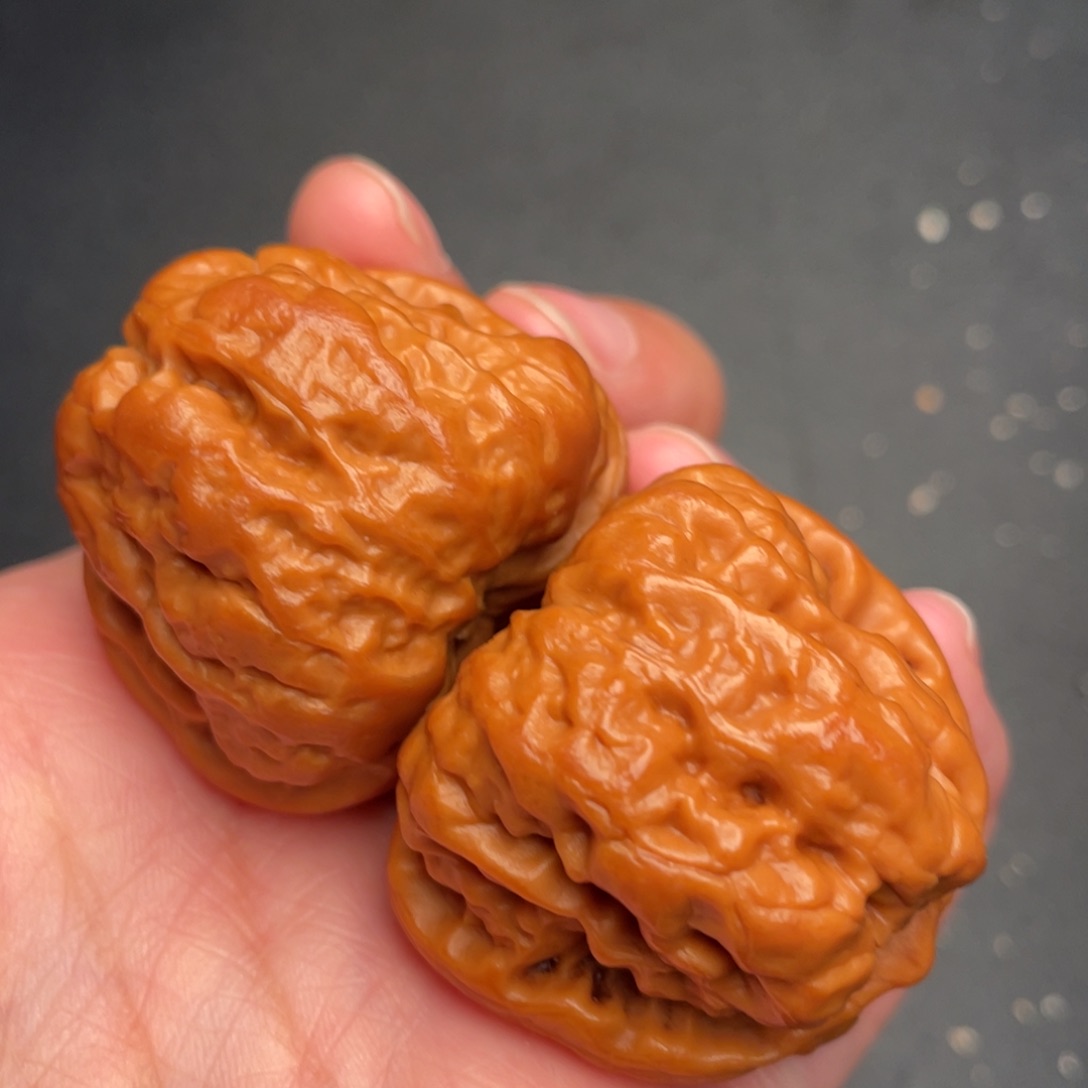 秦岭野生文玩核桃