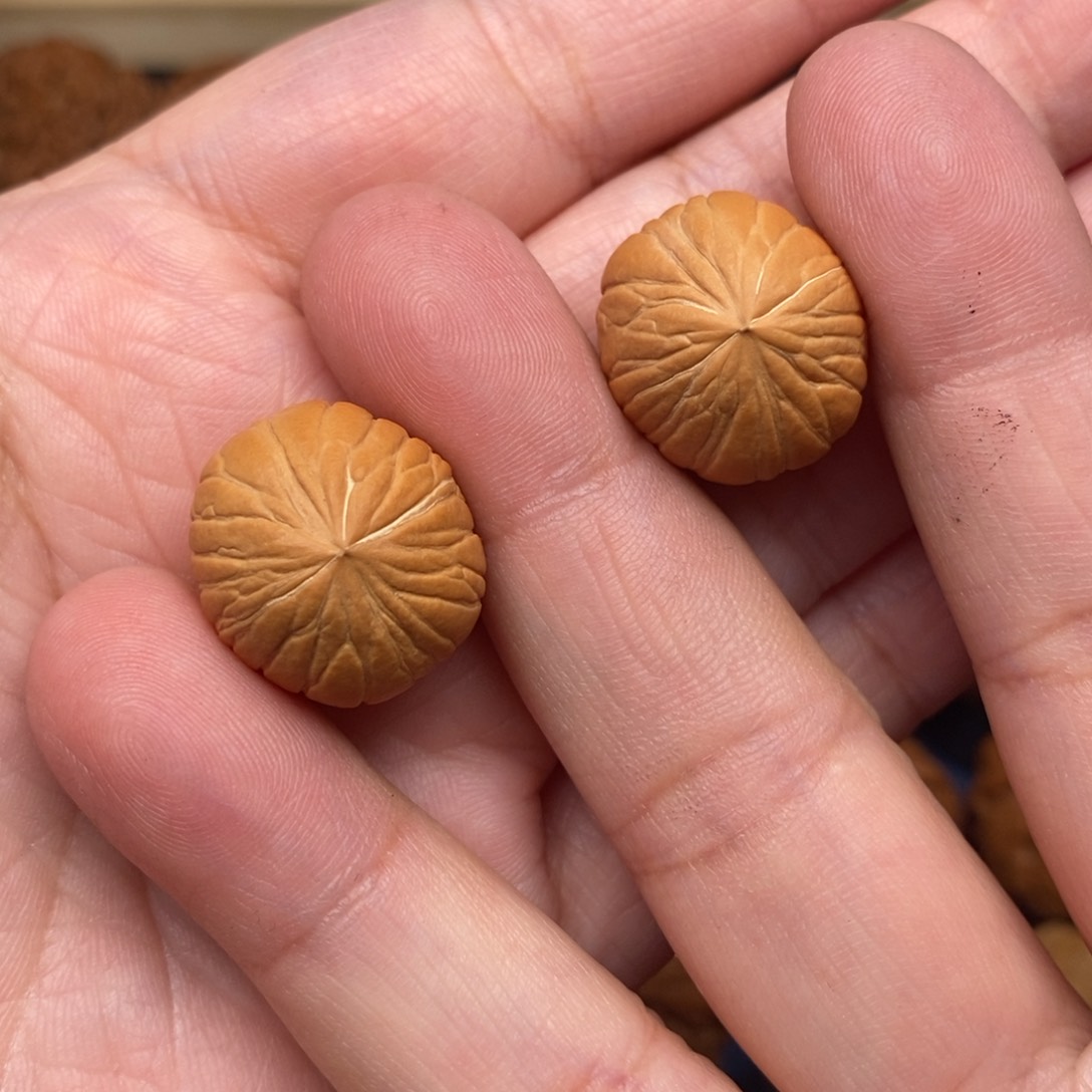 文玩核桃把件手捻猴头南瓜墩