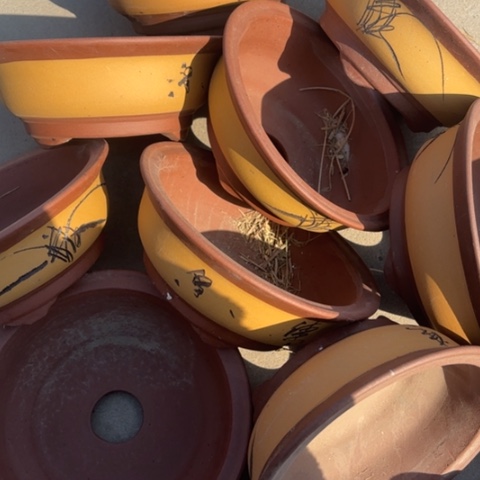 紫砂花盆           100-9