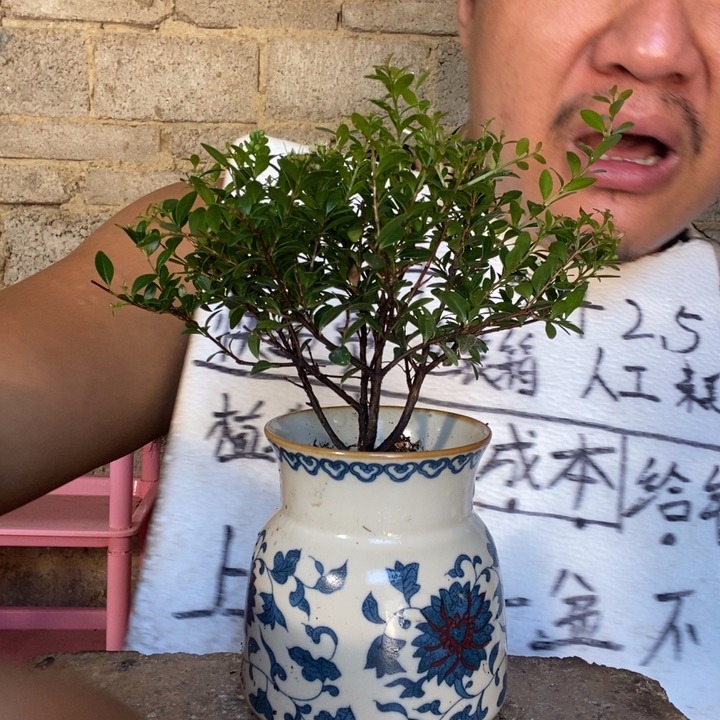 退款拉黑一物一拍20