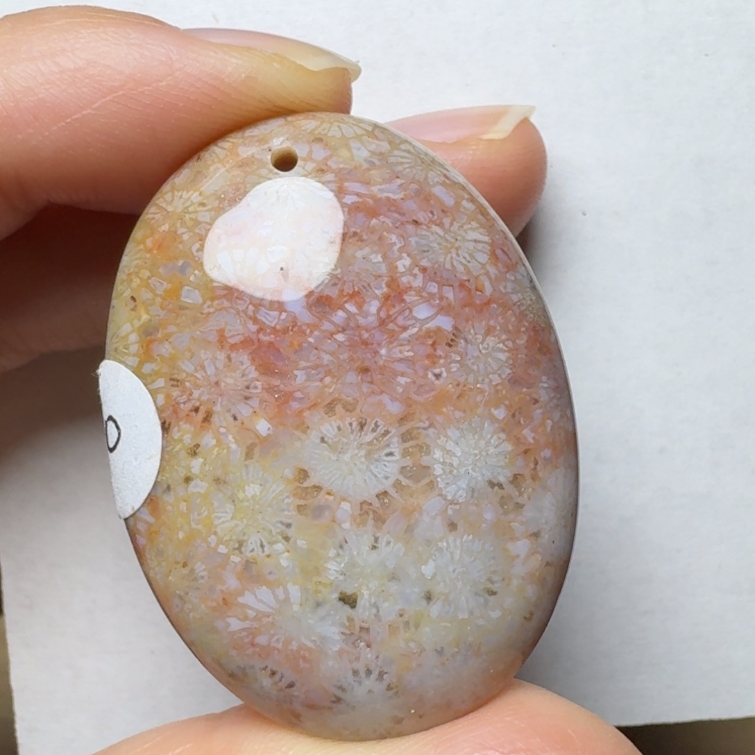 硅化玉荷花未镶嵌