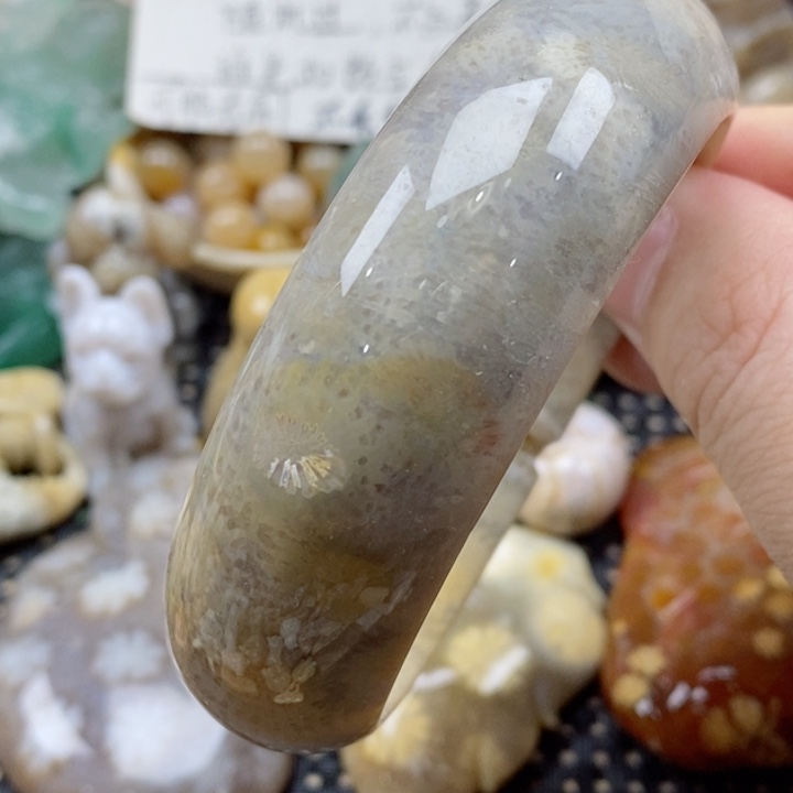 硅化珊瑚（珊瑚玉）颈饰未镶嵌58.6带晶体