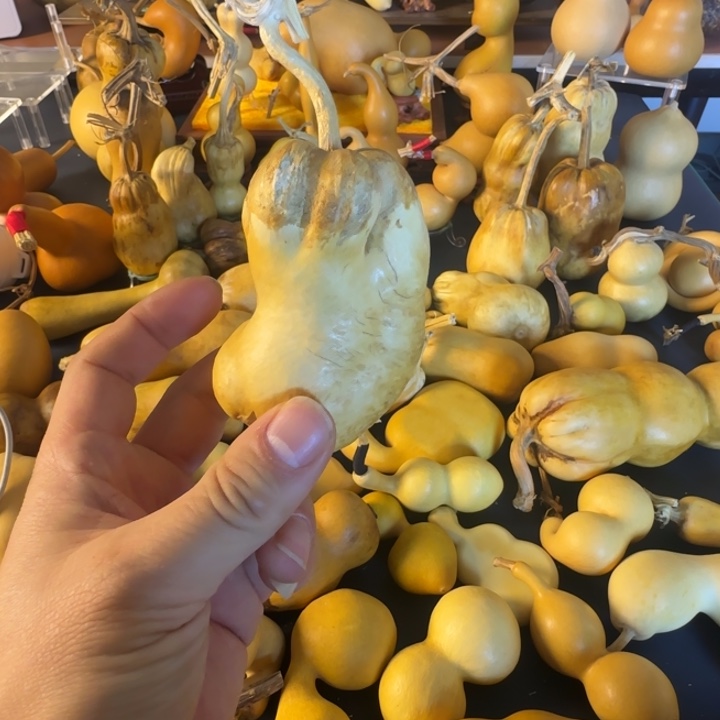 心***安绒面双方就看看好处费风风光光沟沟壑壑