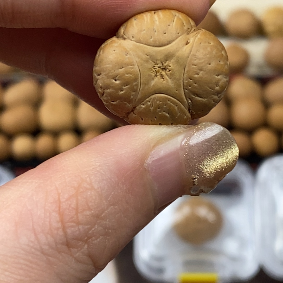 凤眼菩提吊坠麒麟21.7