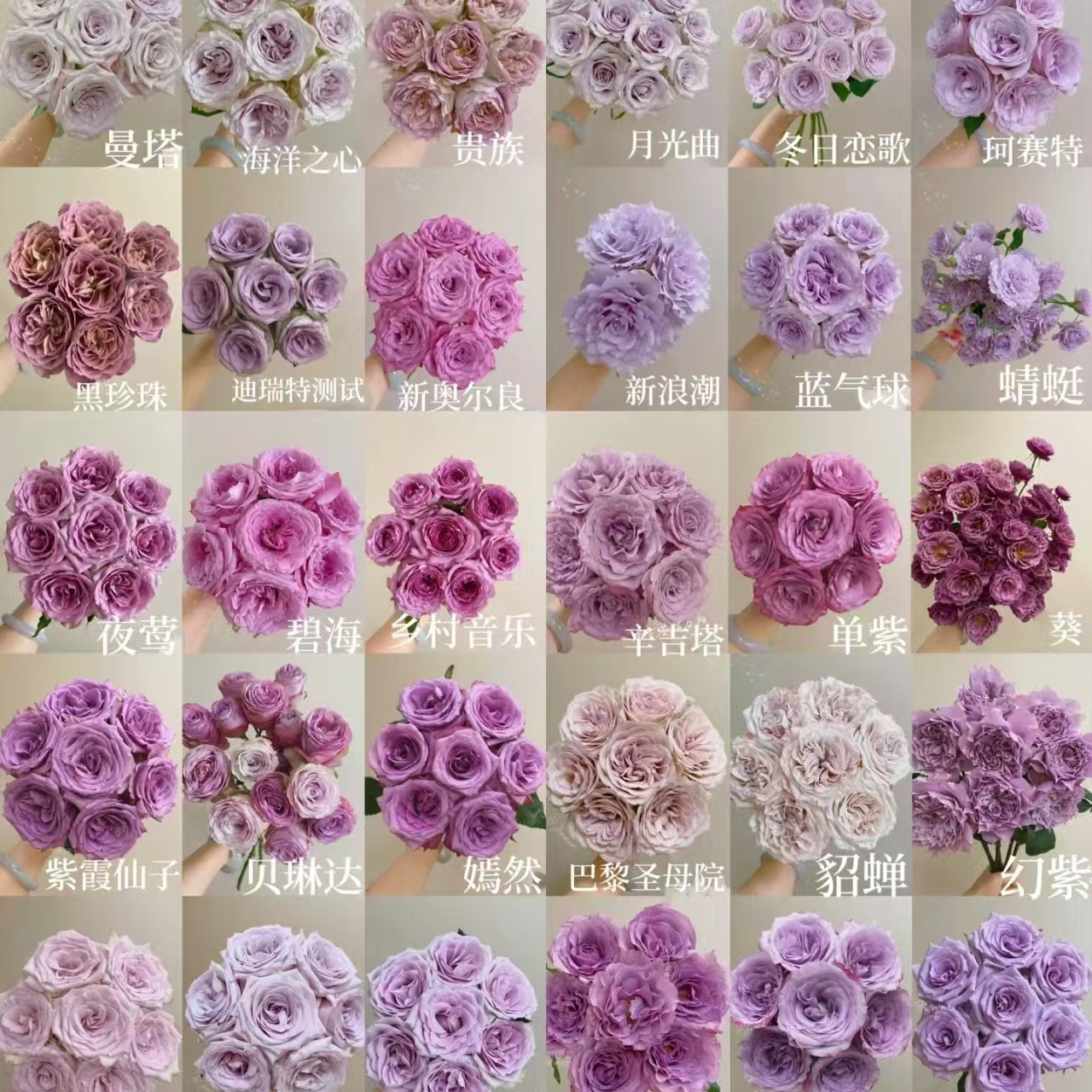 【A6套餐：紫玫瑰+洛神+碎冰蓝+百合+折射+苏菲+洋桔梗+康乃馨+草】