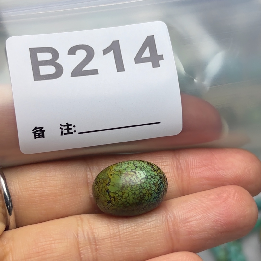 ）***猫绿松石未镶嵌珠宝奇石