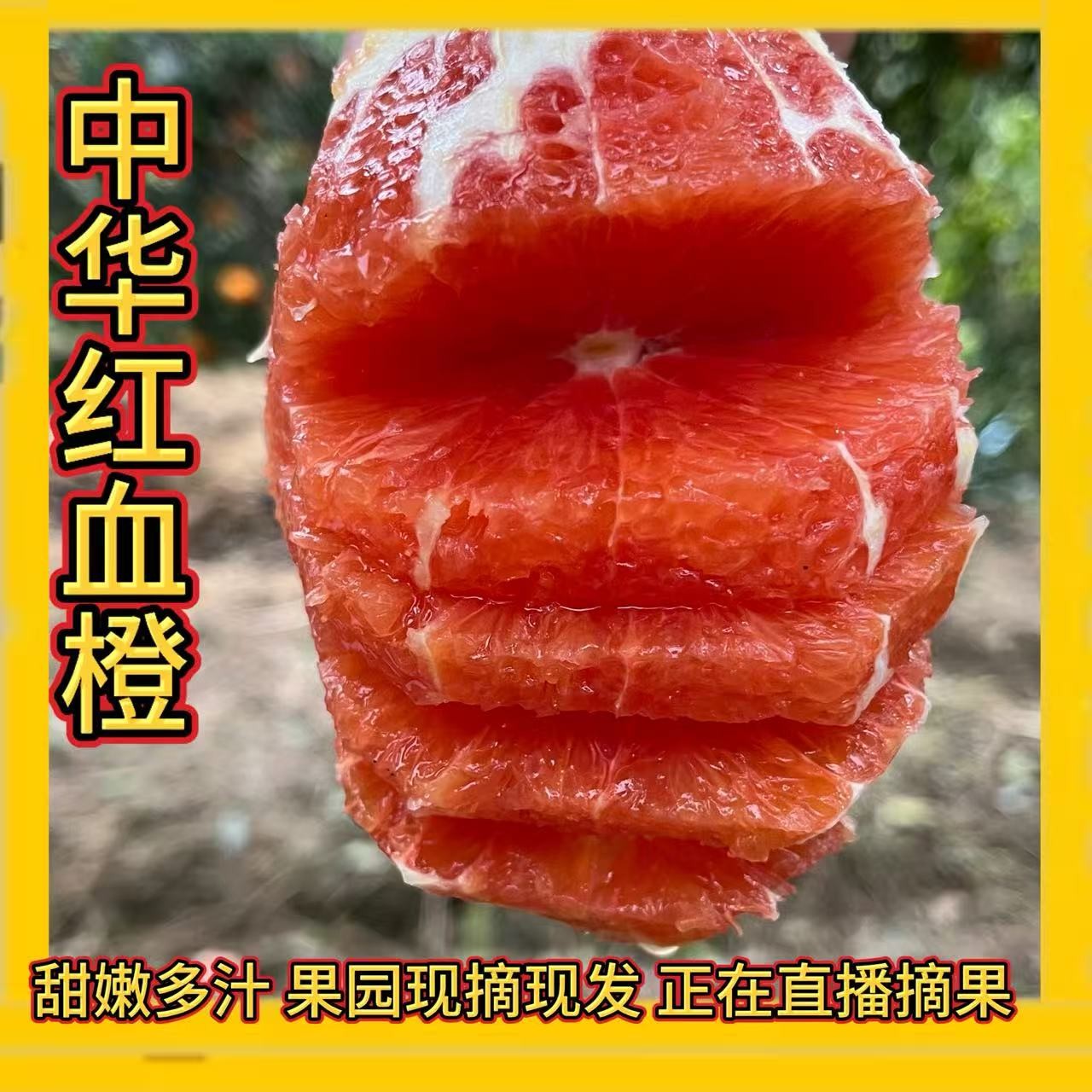 新鲜中华红橙当季五斤现摘口感清香满口爆汁直发包邮